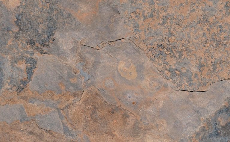 ARDESIA 40.8x66.2 échantillon