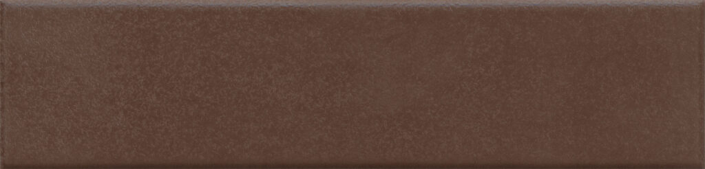 Carrelage ligne brillant TERRA 6x25