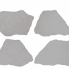 bone
